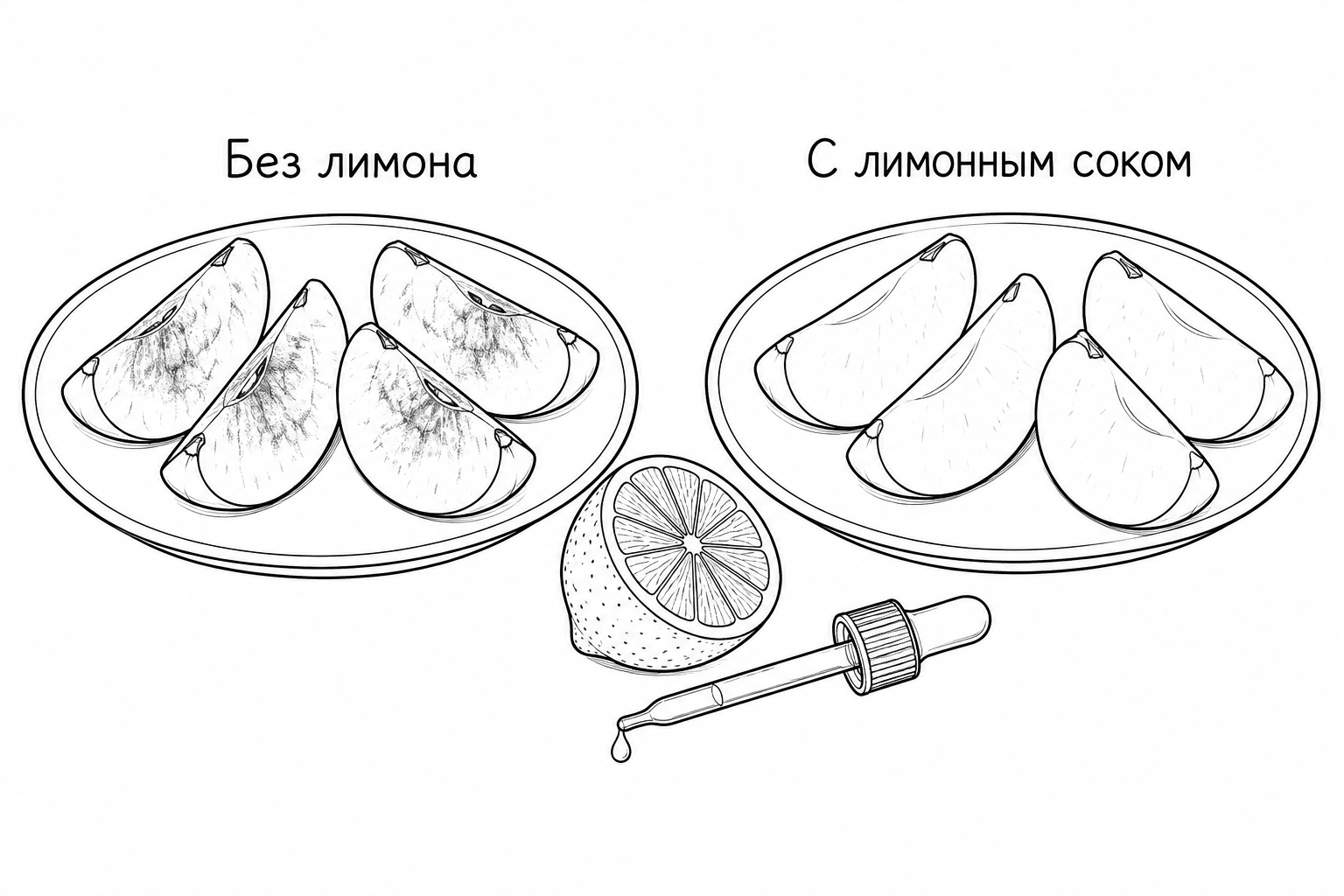 Яблоки и лимон — На двух одинаковых блюдцах лежат яблочные дольки, срезанные одновременно: на одном их поверхность начала темнеть, на другом обработанные лимонным соком срезы остаются светлыми. Между блюдцами лежат половинка лимона и пипетка, а небольшие подписи обозначают условия сравнения.